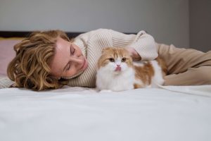 arena para gatos